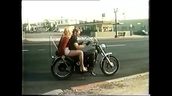 Vintage TAO Collector’s Series 6